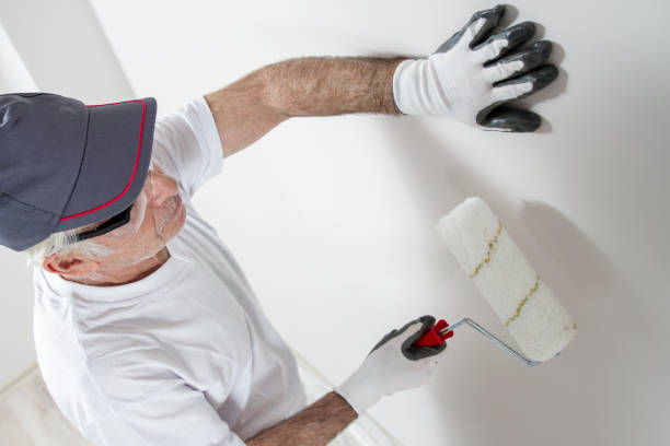 Trusted Rosendale, WI Dry wall and painting Experts